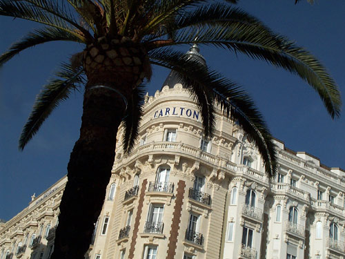 A palm tree in near silhouette stands before the famous Carlton Hotel.  Cannes, France.